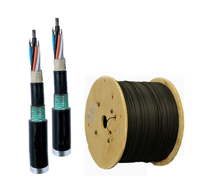 Cáp quang LS Outdoor Multimode 4 cores (LT-DJBGEXX/BRN MX4XXX(06T2.00))-1