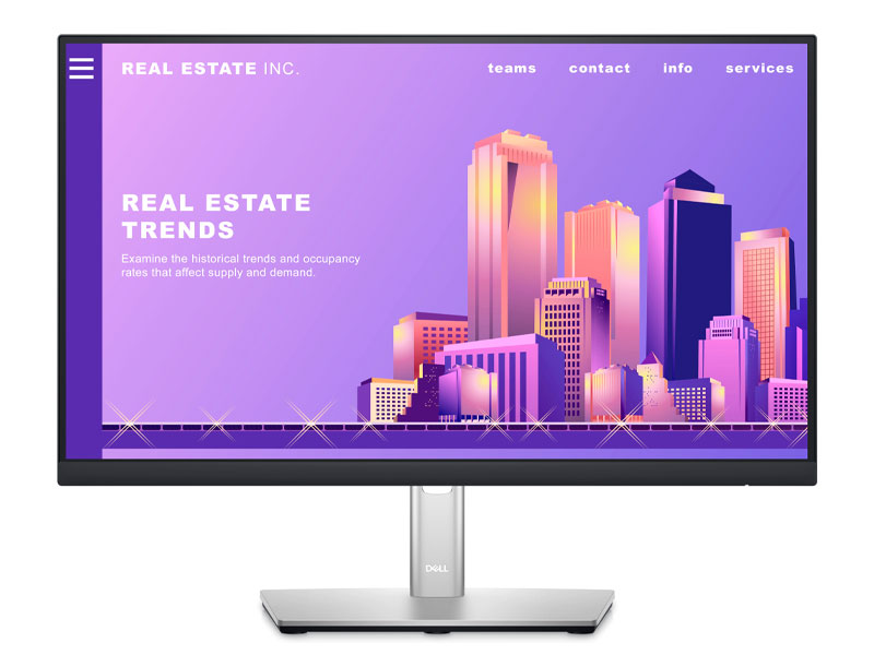 Màn hình Dell Pro P2222H (P/N: F1KJ162)