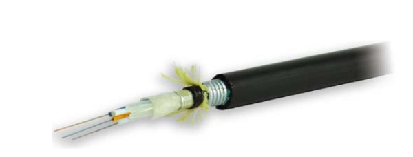 Cáp quang Single mode Outdoor OS2 ROSENBERGER 98A080-006-1