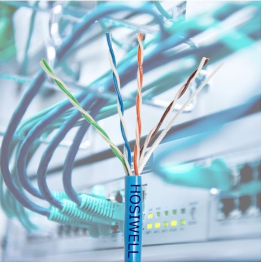 Cáp mạng LAN Cat.6A F/FTP HOSIWELL 30201-BL-LSZH-1