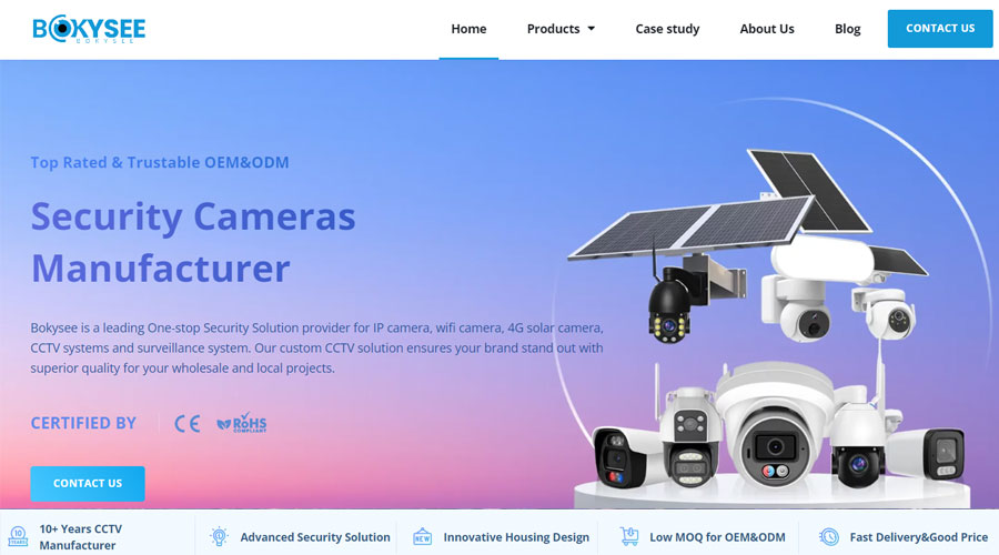 9 Leading Surveillance Camera Company Choices for 2025 - Bokysee ...
